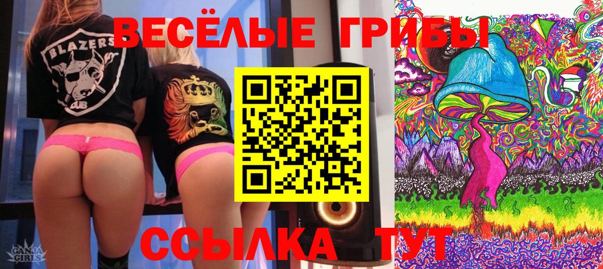 где продают   Галлюциногенные грибы мицелий  Вход с VPN  Алатырь 